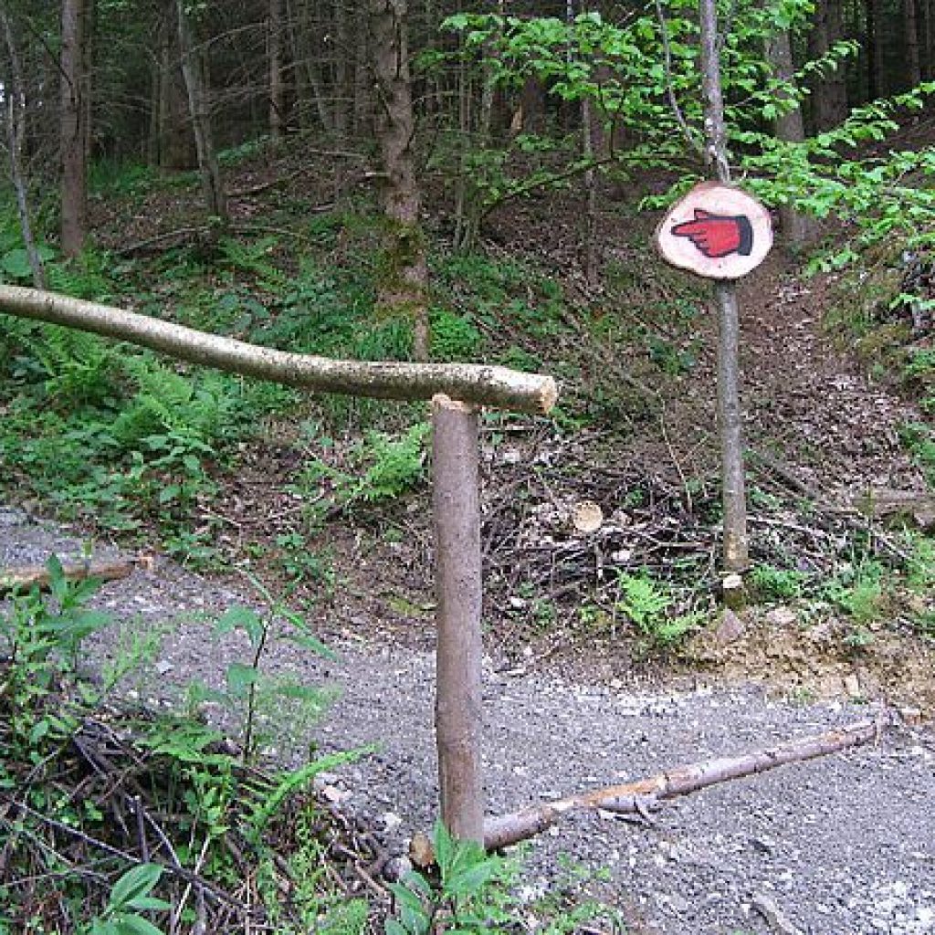 csm_wanderweg_aufstieg_d9bdb7e52f