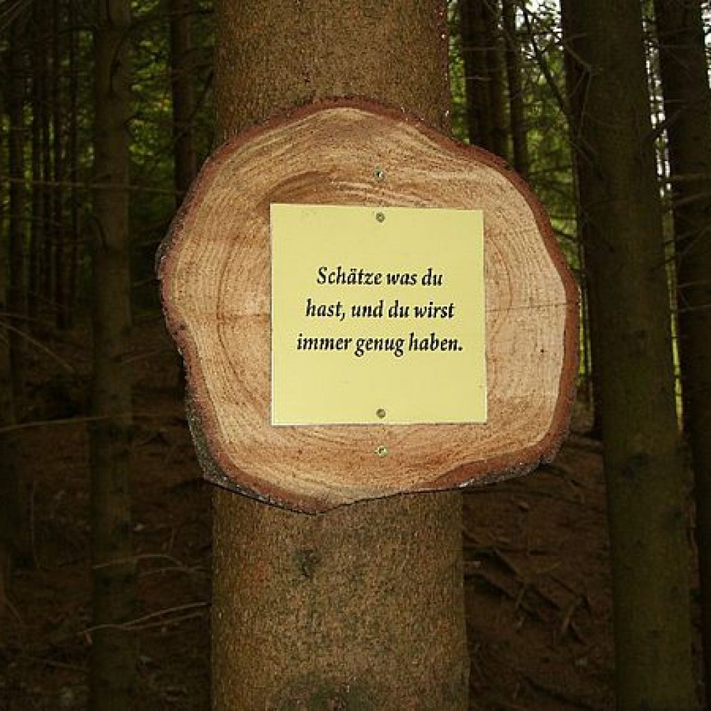 csm_wanderweg_weisheitsspche_0f5517bc67